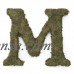 Large (15") Moss Monogram, A   555722617